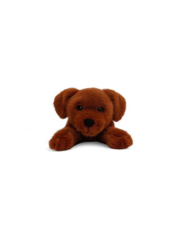 LABRADOR RETRIEVER BUDDY